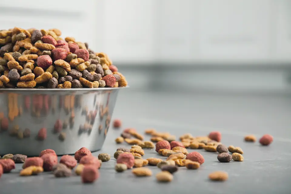 Is Low-Temperature Baked Kibble Really Better? Understanding Pet Food Manufacturing Science
