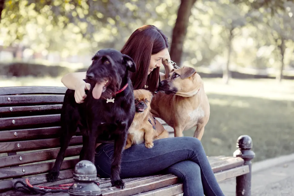 Veterinarians of Reddit: What Most Pet Owners Can Do to Make Their Pets' Lives Better
