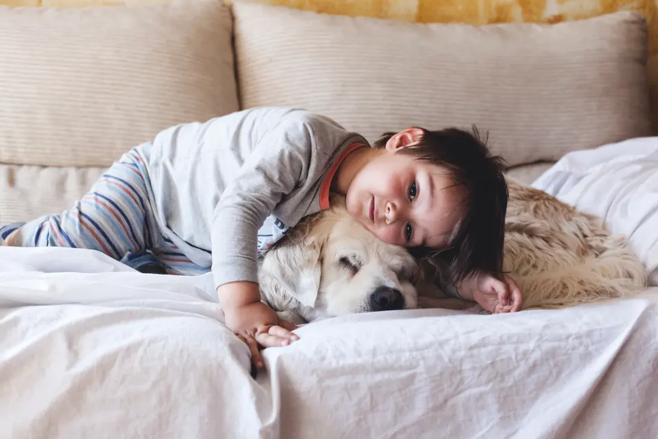 When Your Dog Kicks in His Sleep, Don’t Rush to Wake Him