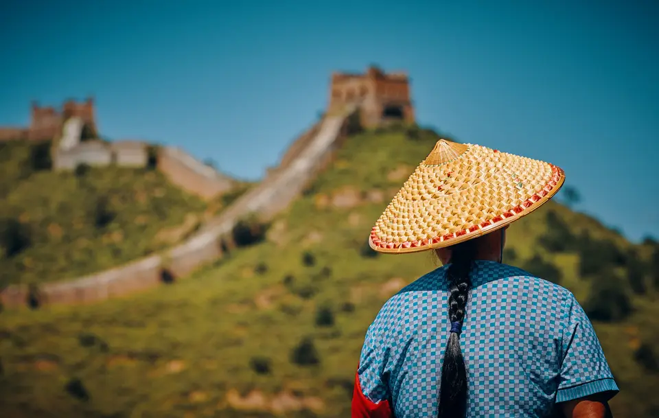 How Much Does It Cost to Ship a Dog or Cat From the U.S. to China?