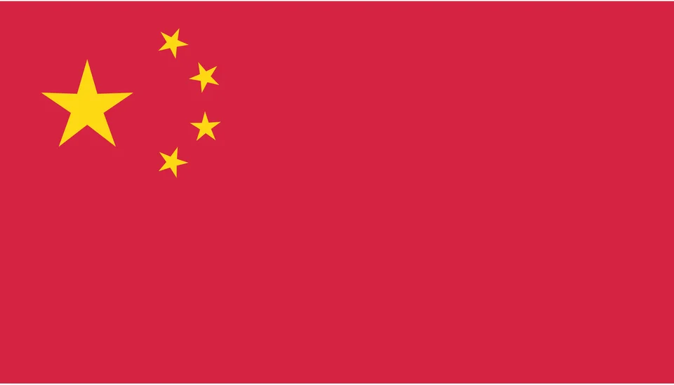 Ship a Dog or Cat From USA to China | Costs, Process & Timeline