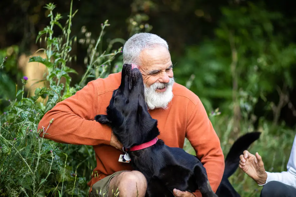 🐾 Unleashing the Unusual: The Strangest Pet Behaviors and Incidents That Will Leave You Speechless