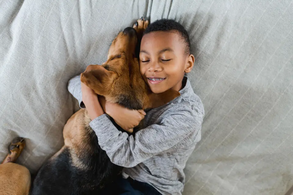 He Doesn’t Need the Bed—He Just Wants to Be Near You