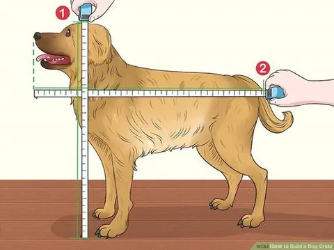 Choosing the Right Crate Size for Your Dog's Air Travel: A Guide by 0x Cargo Pet Travel