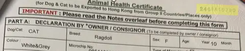 Fake Health Certificate for Hong Kong