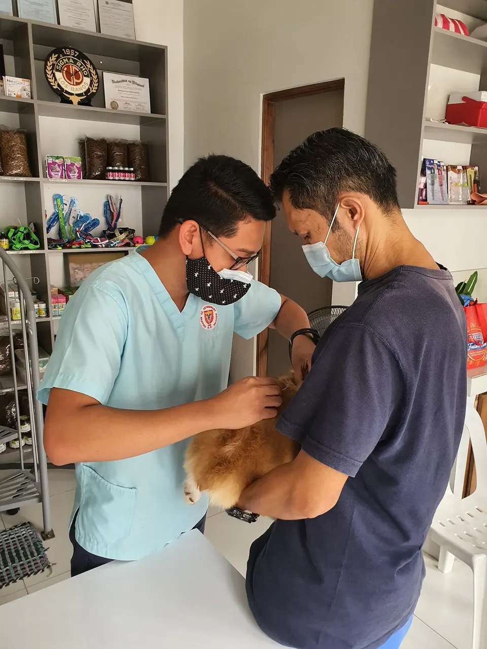 Pet Travel International Health Certificate