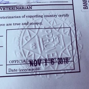 How to Tell If a Pet's Health Documents Is Real? / Verifying Fake Documents.