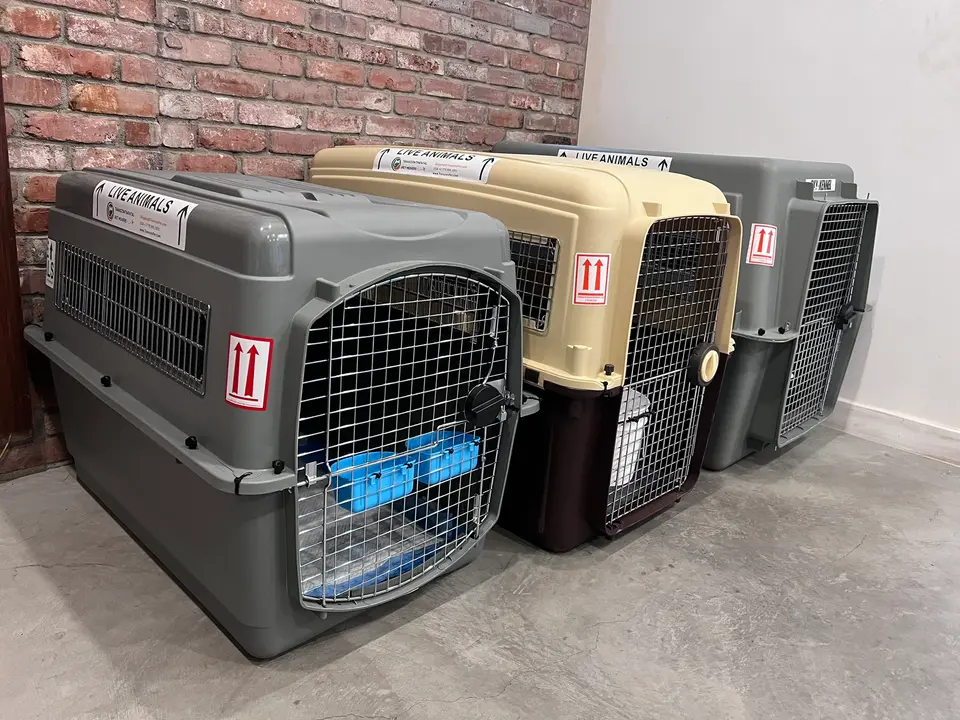 Side by side size comparison of pet travel crates
