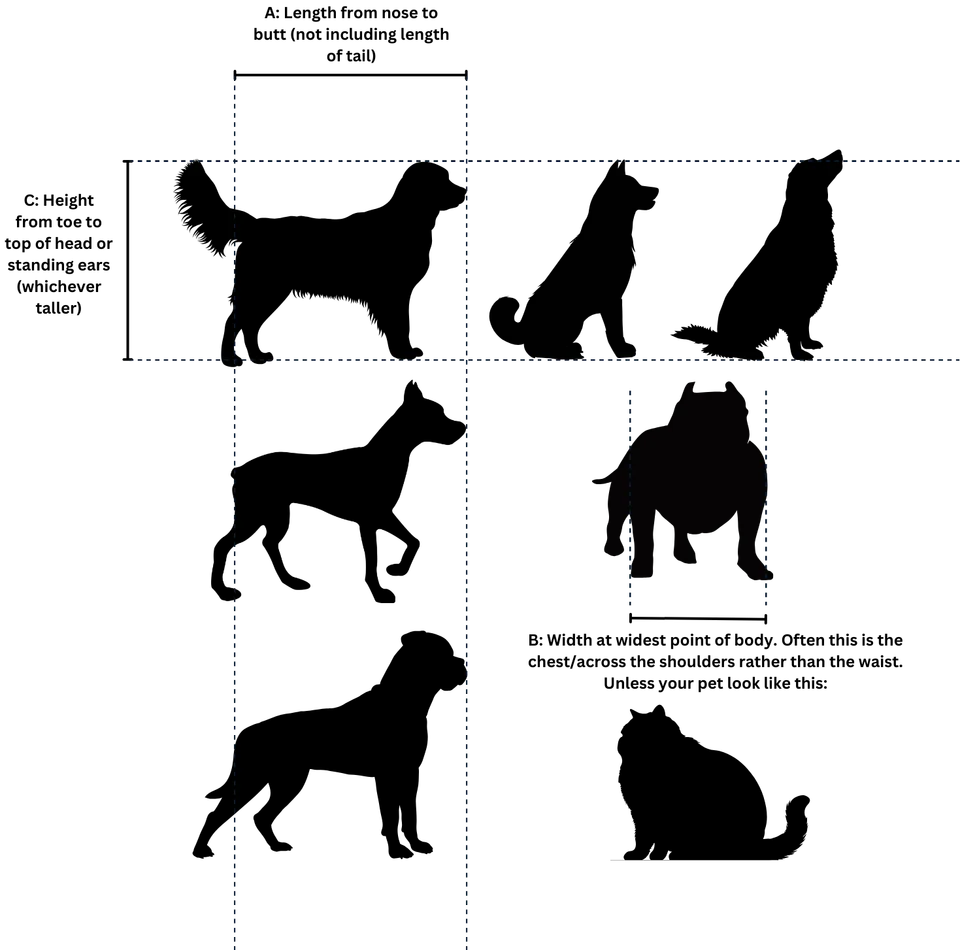 Measurement guide: A length from nose to base of tail, B width at the widest point, C height from toe to top of head or ears