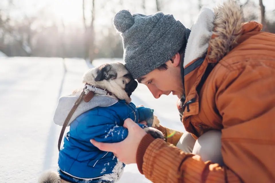Does a Dog Like Human Kisses? How Does a Dog Understand Human Kisses?