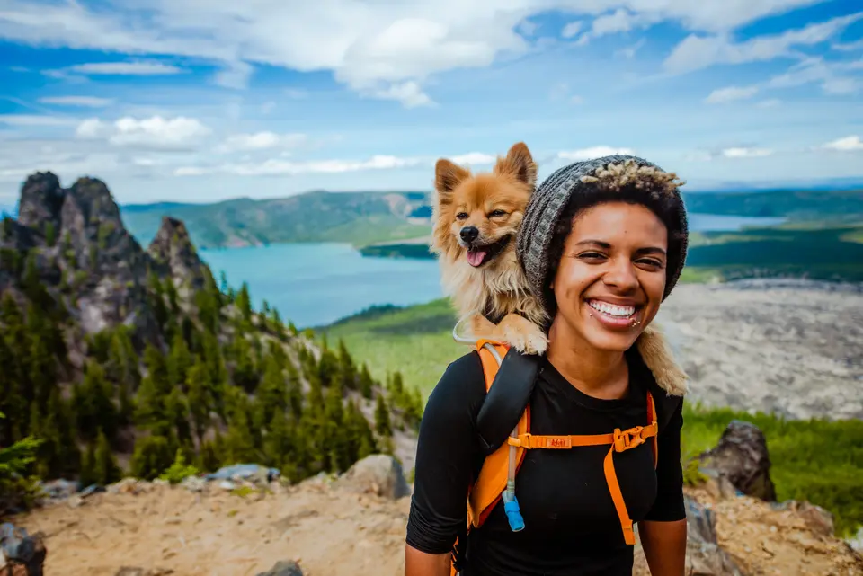 Veterinarians of Reddit: What Most Pet Owners Can Do to Make Their Pets’ Lives Better
