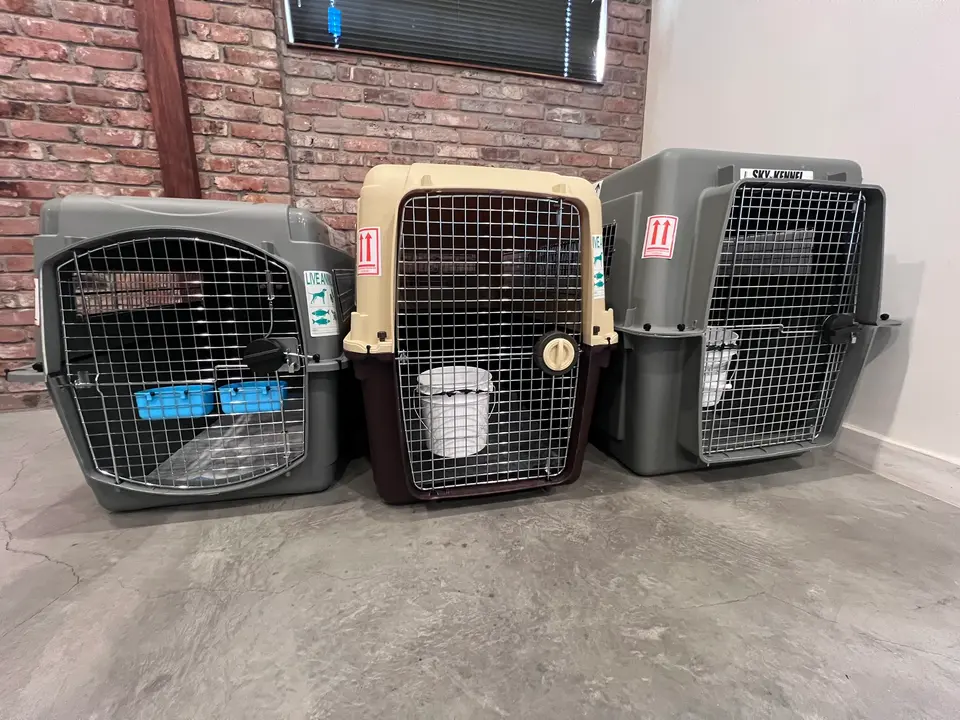 Side by side size comparison of pet travel crates