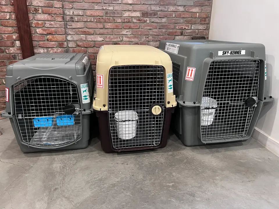 Side by side size comparison of pet travel crates
