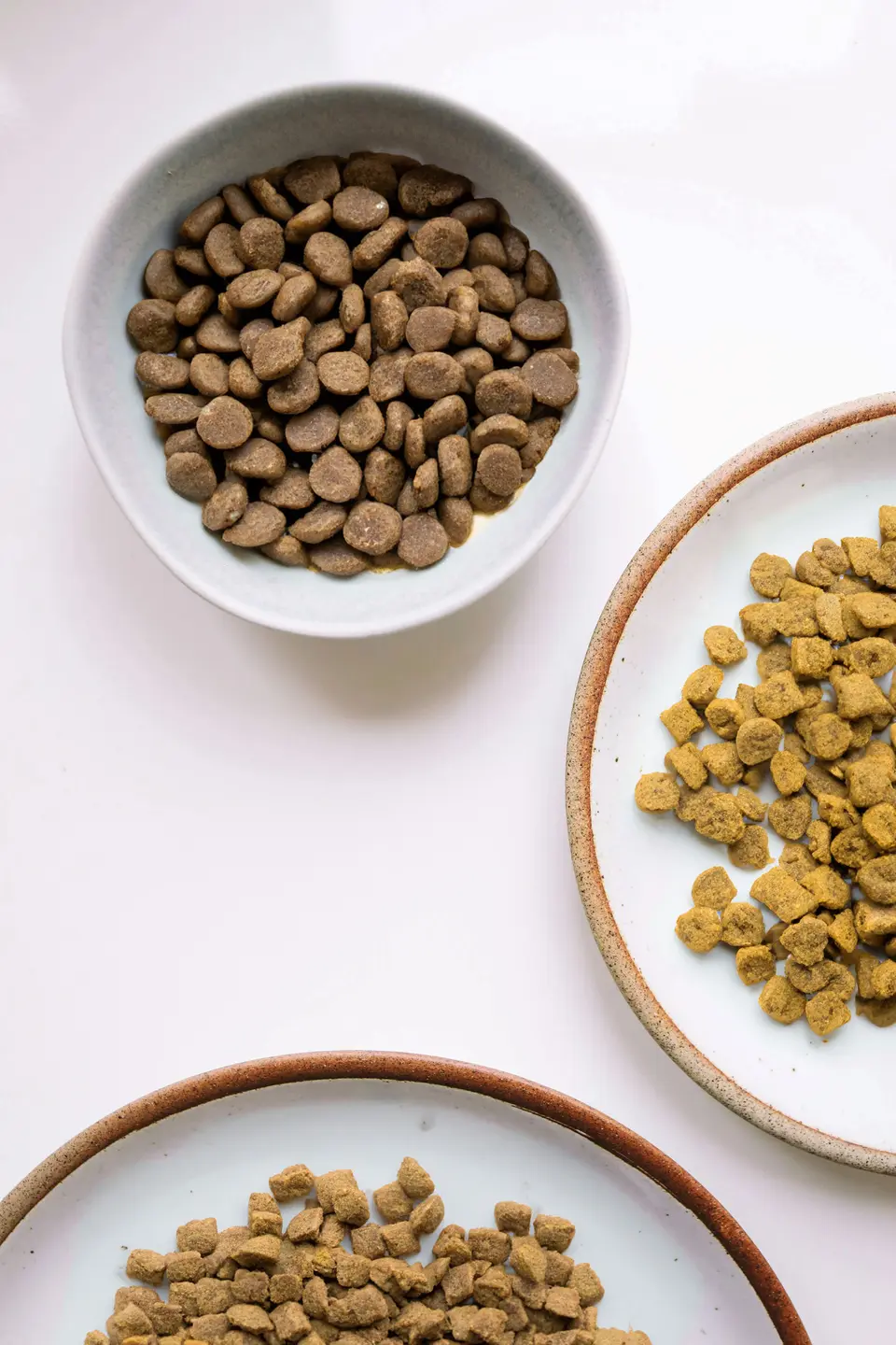 Why Do We Encourage Humans to Eat Fresh Foods but Feed Pets Processed Commercial Pet Food?
