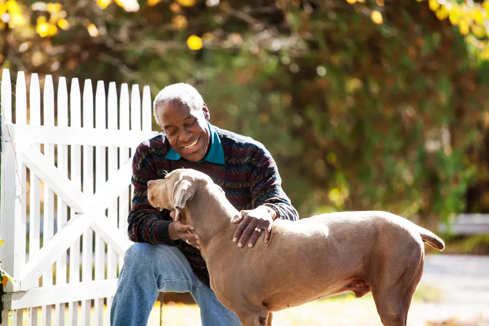 The Hidden Side of Canine Neutering: Risks Your Vet Might Not Mention