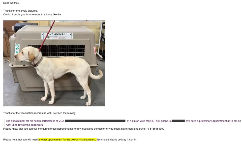 Measuring Your Pup for His/Her Travel Crate