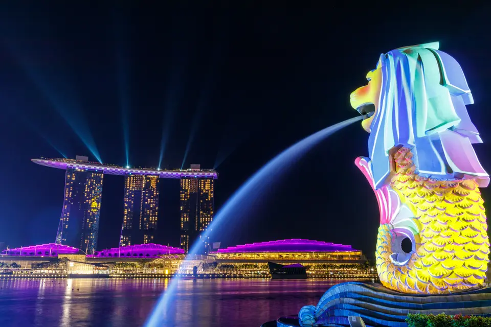 How Much Does It Cost to Ship a Dog or Cat From the U.S. to Singapore?