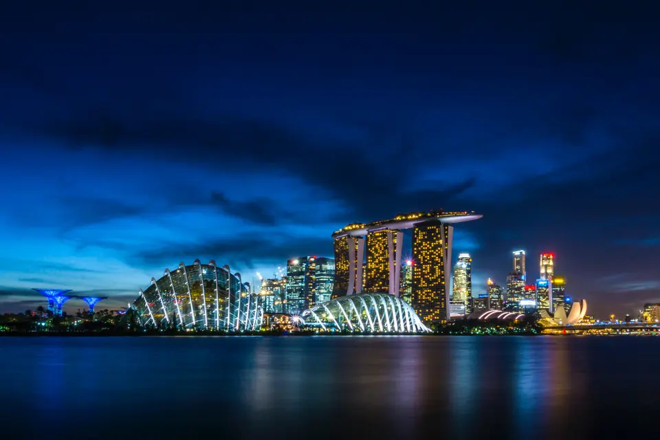 Dogs and Cats Travel From United States to Singapore: Changes to Singapore's Rabies Risk Categorization System Starting July 2024