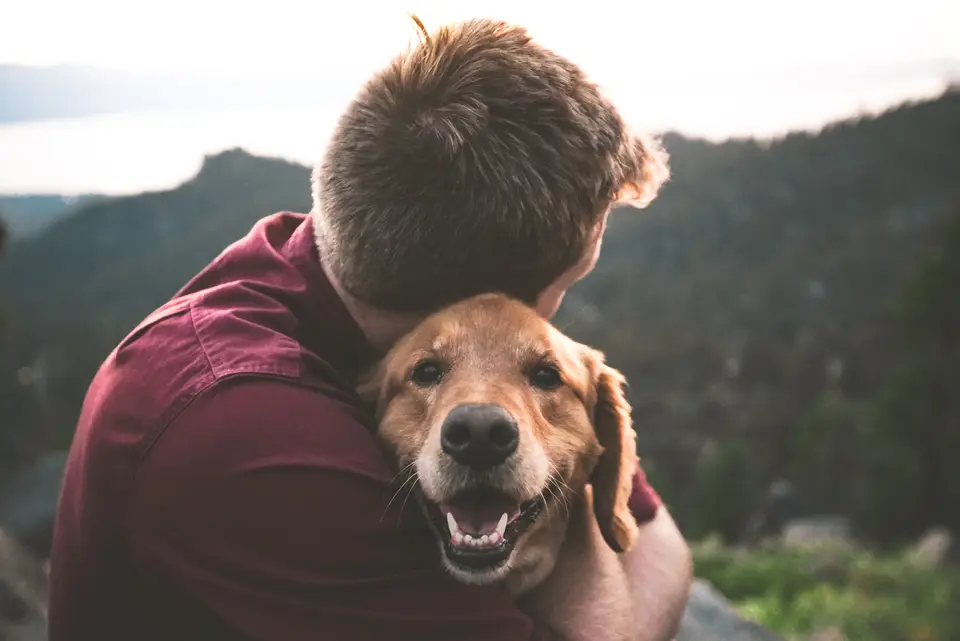 Your Dog Learned How to Live With You a Long Time Ago