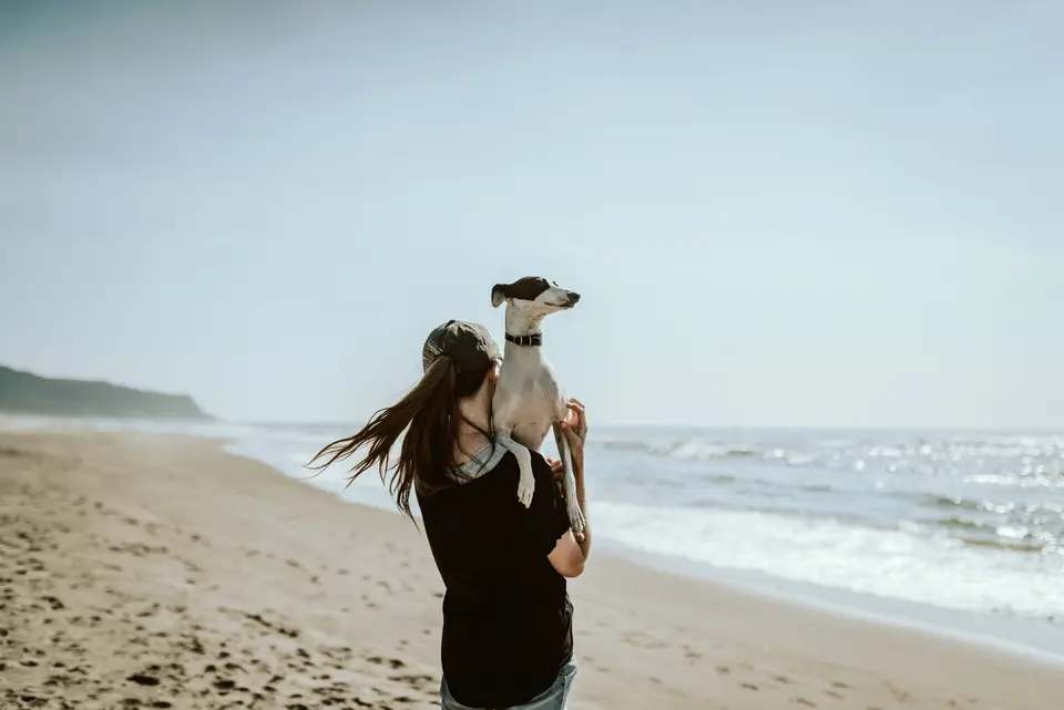 People Who Take Good Care of Their Dogs Usually Don’t Cut Corners in Life